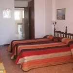 Pinos كاليبي
